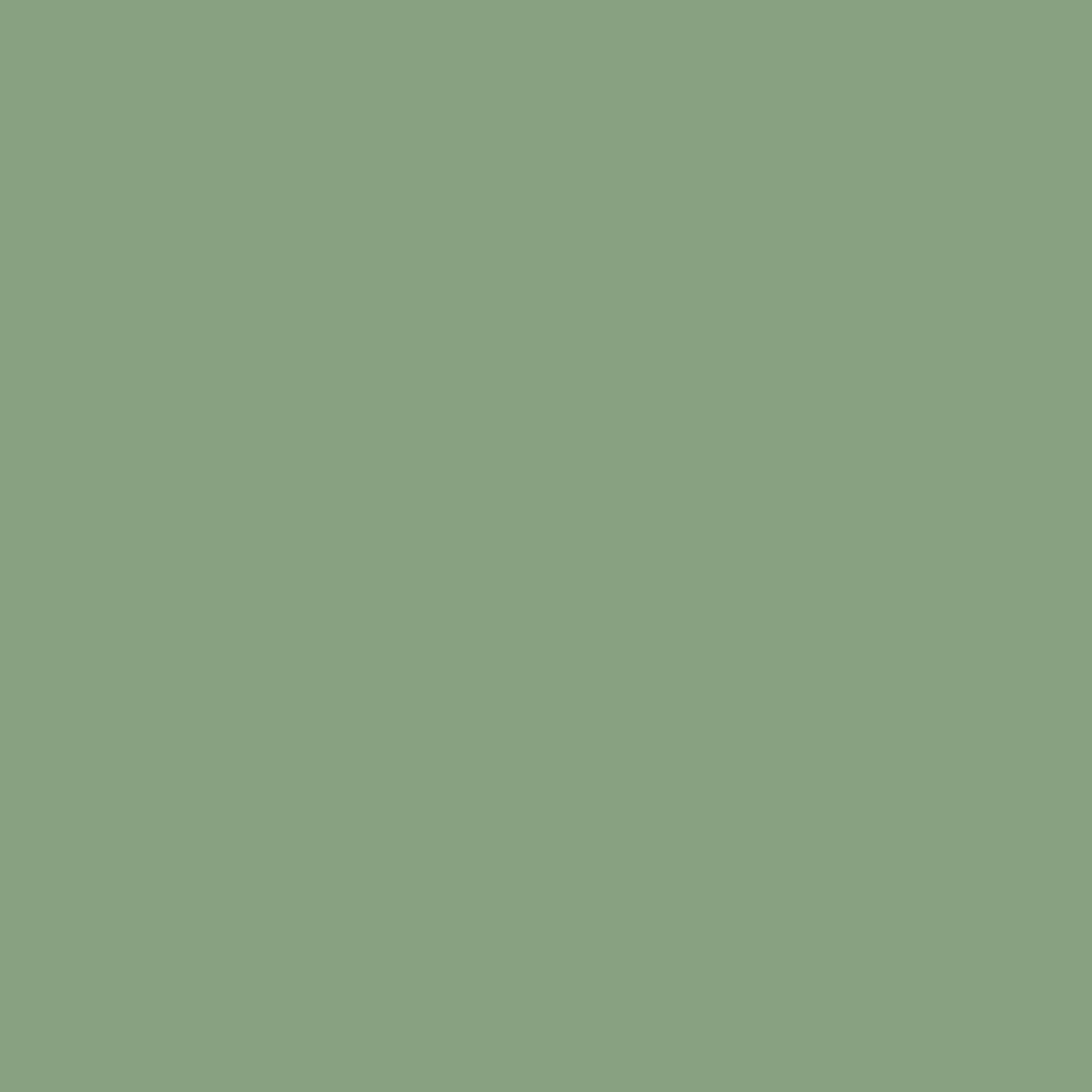Farbe RAL 6021 blaßgrün feinstruktur matt